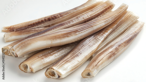 fresh razor clams isolated on white background