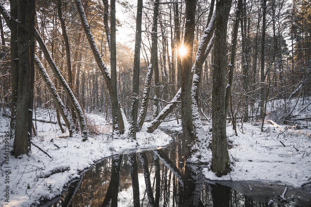 rzeka wśród drzew, zimowa sceneria