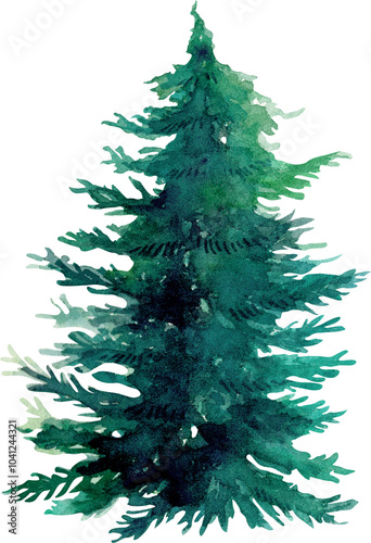 Green Christmas pine tree watercolor painting, PNG file no background