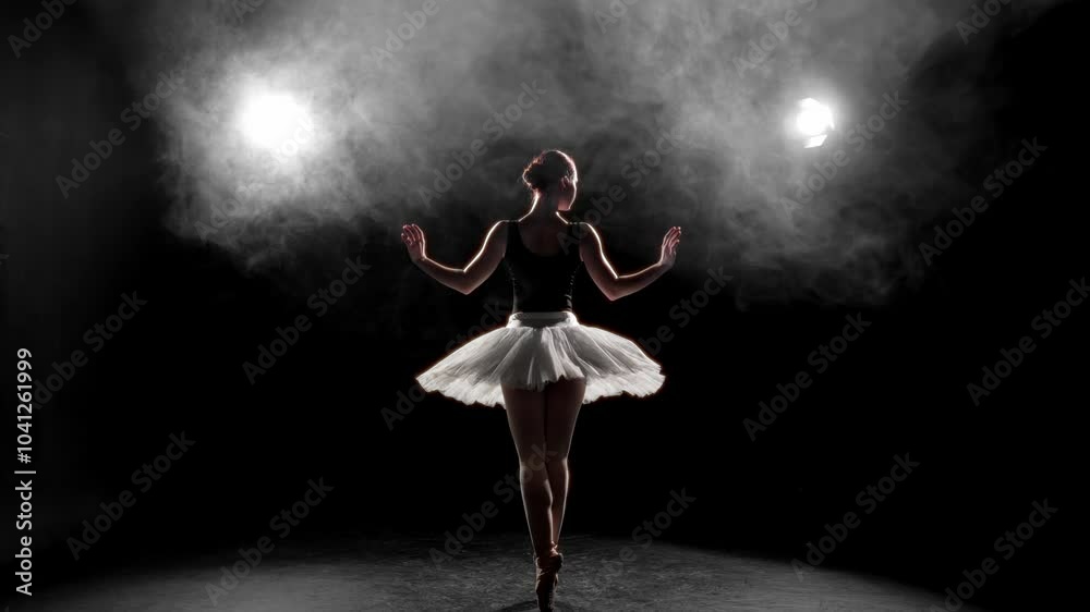 Graceful female ballet dancer dancing alone in dark hall, silhouette in soffits. Beautiful ballerina in white tutu moving arms slowly, rear view, amazing art performance in theatre, classical ballet Graceful female ballet dancer dancing alone in dark hall, silhouette in soffits. Beautiful ballerina in white tutu moving arms slowly, rear view, amazing art performance in theatre, classical ballet