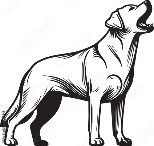 Labrador rottweiler dog vector