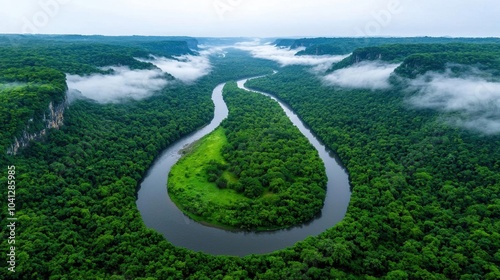 A photostock of a wide river flowing through a lush forest with fog hanging low over the water. Nikon camera, 24mm lens, f/4 aperture, 1/200 shutter speed, focused on the river photo