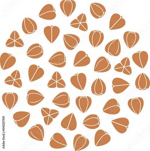 Buckwheat set. Isolated buckwheat on white background