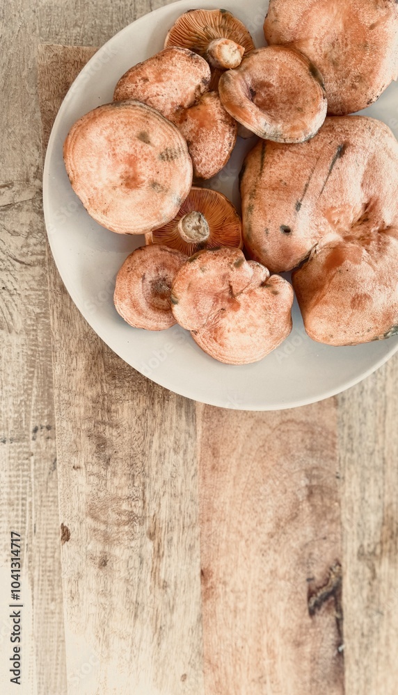 Orange mushroom on the wooden table freshly harvested from the forest. Lactarius deliciosus. 