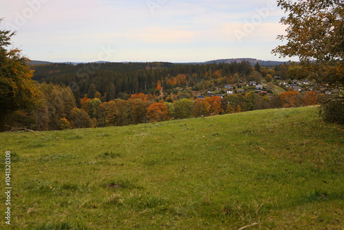 Wiese im Herbst, Blick auf Neuhaus am Rennweg, Rennsteig im Thüringer Wald, Landkreis Sonneberg, Thüringen, Deutschland	