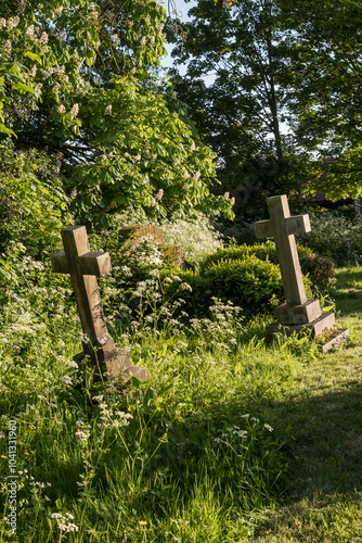 Stone crosses in old churchyard, standing at an angle, surrounded by overgrown grass and trees in light of summer evening.
