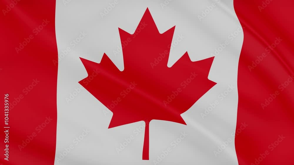 4K Flag Canada Realistic Waving Wind video 4K Flag Canada Realistic Waving Wind video