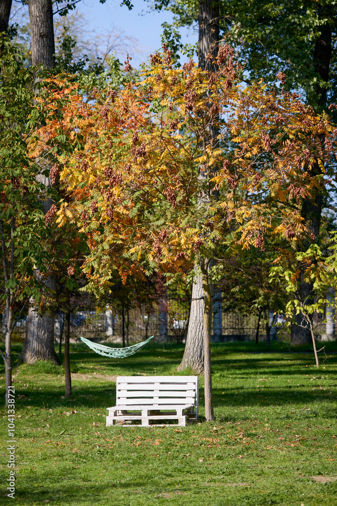 landscape with autumn trees in a park landscape with autumn trees in a park