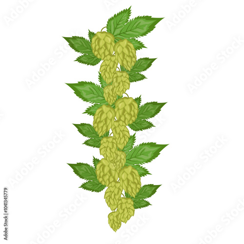 Compositions of leaves and fruits of hops. Hops herb plant for brewery of beer. Branch of hop. For the design of a poster, menu of a craft brewery