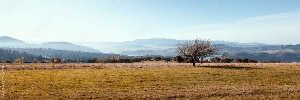 Beautiful autumn mountain landscape. View of Lake Czorsztyńskie and the Tatra Mountains. A lonely tree in the foreground. Viewpoint..Czorsztyn, Poland