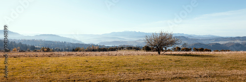 Obraz na płótnie Beautiful autumn mountain landscape. View of Lake Czorsztyńskie and the Tatra Mountains. A lonely tree in the foreground. Viewpoint..Czorsztyn, Poland w salonie