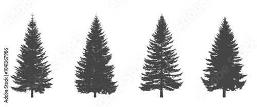 spruce tree silhouettes. Christmas, New Year and nature design elements. conifer isolated vector images in simple style