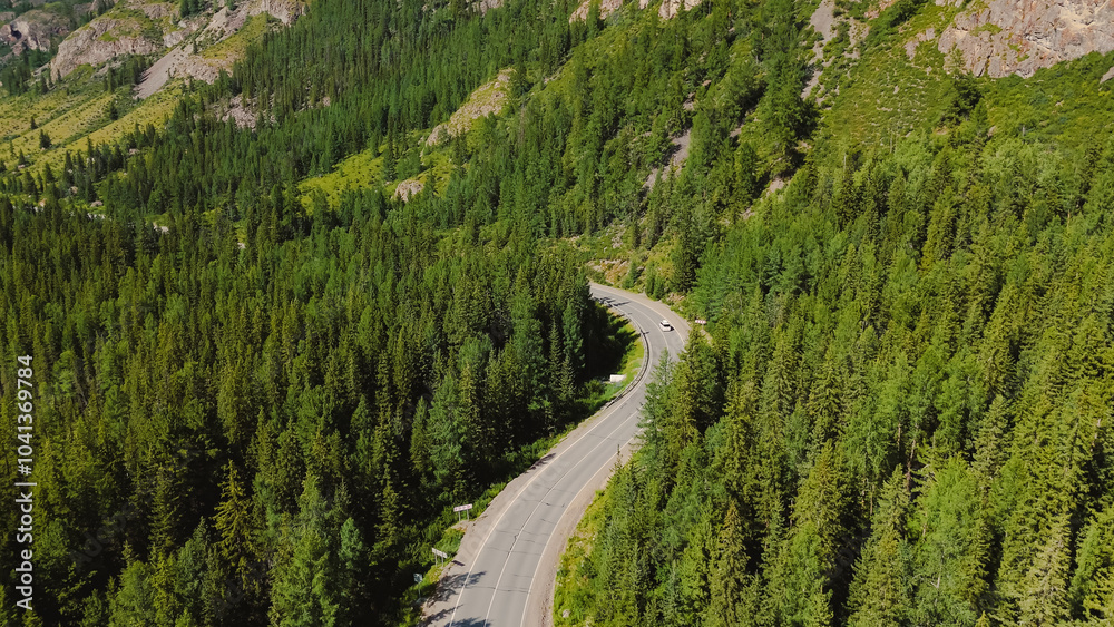 Fototapeta premium the car is driving along a mountain road in Altai