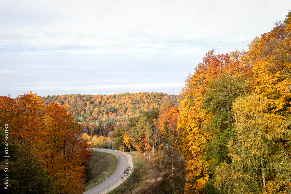 Naklejka premium Colorful tree leaves in mountainous landscape