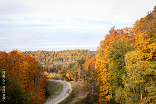 Colorful tree leaves in mountainous landscape