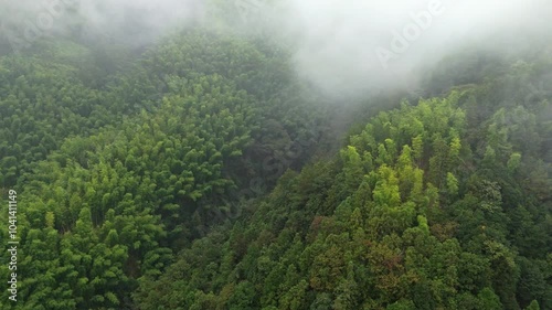 Aerial photography of green cloudy mountain forests in the mountains of southern Anhui photo