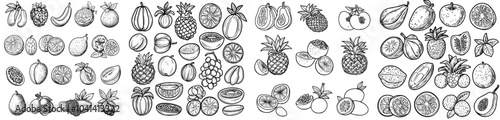 Tropical fruits hand drawn set. The set contains whole fruit and cutaway images. There's avocado, ackee, banana, guava, dogwood, durian, figs, carambola, kiwano, coconut, Lychee, longan, mango,