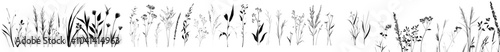 Set of grungy black flowers isolated on white background. Modern ink expressive brush strokes graphic art.