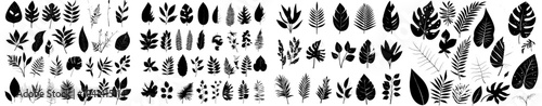 Monochrome jungle exotic leaves set with silhouettes of Philodendrons, Palms leaves, Areca palms, Royal Ferns, Banana leaves isolated on white background. Modern illustration of tropical leaves for