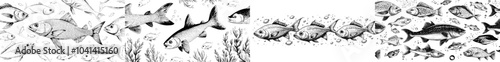 The school of fish is depicted in a hand drawn style with under water marine ecosystem, inhabitants of the sea and rivers, and a vintage style engraved set of fish. The fish are trot, perch and