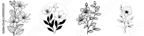 A blossoming eucalyptus flower isolated on white. Vintage drawing of botanical element with blossomed buds and leaves. Contoured hand-drawn illustration of a bud of a eucalypt tree.