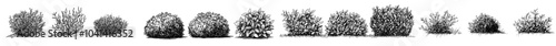A collection of hand-drawn bushes, dendrology sketches, and graphic templates