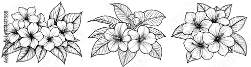 Wallpaper Mural Hand-painted tangerine, plumeria, frangipani, and plumeria flower illustration. Flower design for a card or print. Torontodigital.ca