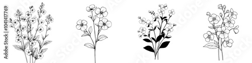 Isolated modern illustration of forgotten-me-nots on white background. Outlined engraved floral plant in retro detailed style. Scorpion grasses. Faded vintage botanical drawing.