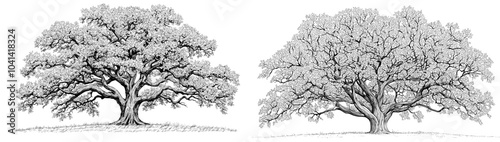 Large detailed hand drawn modern illustration of a decorative family tree. Uses: genus tree, background, design.