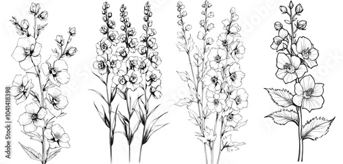 Drawing of a delphinium flower, monochrome hand written doodles, sketch for a coloring page, black and white delphinium drawing, delphinium tattoo, black and white delphinium drawing,