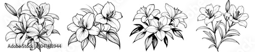 Rhododendron, hibiscus, chinese rose branch with flowers and leaves. Black and white hand drawn illustration, stained glass window, coloring book.