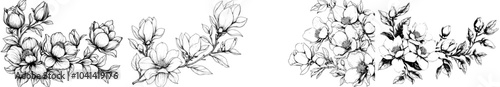 This is a line art sketch with black and white lines of magnolia flowers.