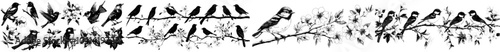 Vintage hand-drawn bird set with flowers. Spring birds on blossom branches. Linear engraving.