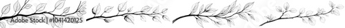 Illustration of a leaf in a tree branch, seamless natural sketch, fluid botanical line art, sophisticated tree limb design