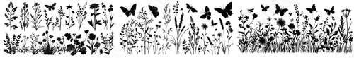 An assortment of grasses, flowers, herbs, and insects are silhouetted in black