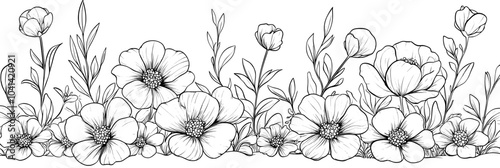 Floral overlay banner with wild blooming meadow flowers. Monochrome ink sketch style hand drawn illustration isolated on transparent background.