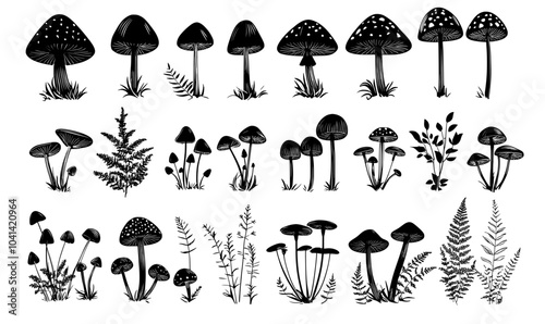 Hand drawn illustration of mushroom silhouette in black color. Illustration of boletus, fly agaric and forest leaves. Sketch of woodland porcini and champignons.