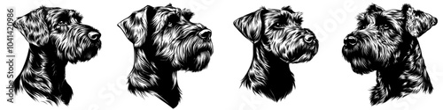 This is a beautiful engraving monochrome modern illustration of an Airedale Terrier, Waterside Terrier, Bingley Terrier, Irish Red Terrier. Dog. Icon, logo, isolated item.