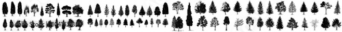 An illustration of 224 tree elements for architecture and landscape design drawing. Black and white isolated illustration for architecture and landscape design.