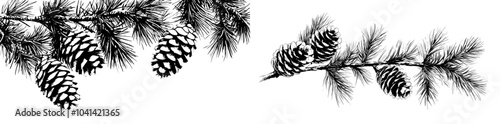 Tree branches, spruce and pine, with cones. Graphic design, hand drawn in brown ink, line art monochrome. Seamless border, pattern, garland on the theme forest, harvest, nature, Christmas.