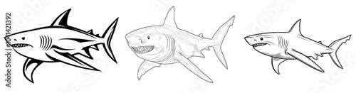 An illustration of a Bull Shark drawn on a transparent background, set against a modern background