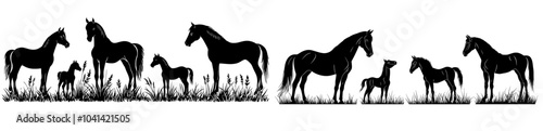 This detailed set of eight black silhouette illustrations showcases a variety of horses, showing different breeds, poses, and mane styles for use in agricultural design