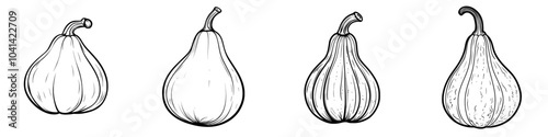 Black and white realistic sketches of a yellow squash drawing, fruit head