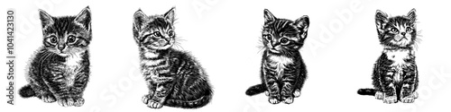 Vintage kitten ink sketch, modern line art, illustration background