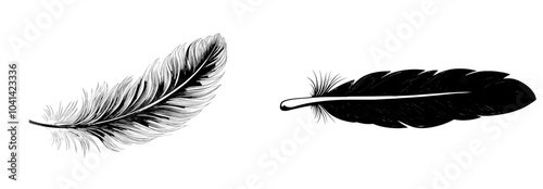 Feather drawing in black and white, perfect for design or decoration