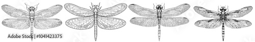 Stunning black and white illustration of a dragonfly that has intricate patterns on its wings and body. Use it for coloring books, tattoo designs, or art projects.