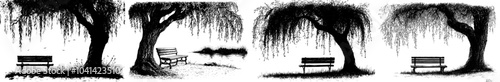 An engraving of a bench willow tree with an outline in black and white