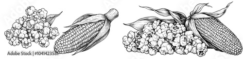Concept of corn and popcorn in a retro style. Vintage modern sketch.