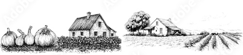 Concept Design of Organic Farm Vegetables: Tomatoes, Garlic, and Onions. Vintage Sketch.