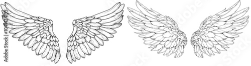 An outline drawing of angel wings with hand drawn feathers, pegasus wings, owls, eagles, owl parrots, and wing contour tattoo logo elements.